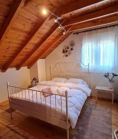 ολοκληρη βιλα Xrisafis Вилла