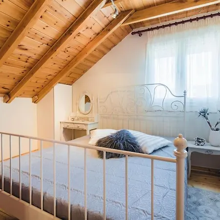 ολοκληρη βιλα Xrisafis Вилла