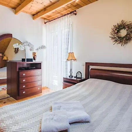 ολοκληρη βιλα Xrisafis Villa Edessa