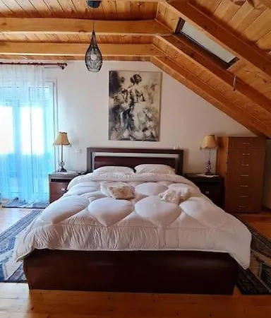 ολοκληρη βιλα Xrisafis Эдесса