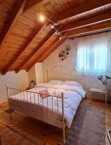 ολοκληρη βιλα Xrisafis 别墅