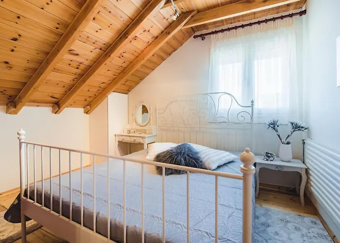 ολοκληρη βιλα Xrisafis 别墅